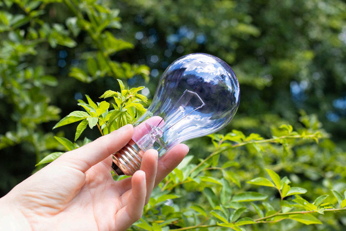 Shop Incandescent Light Bulbs ⚡️ – Healthlighting