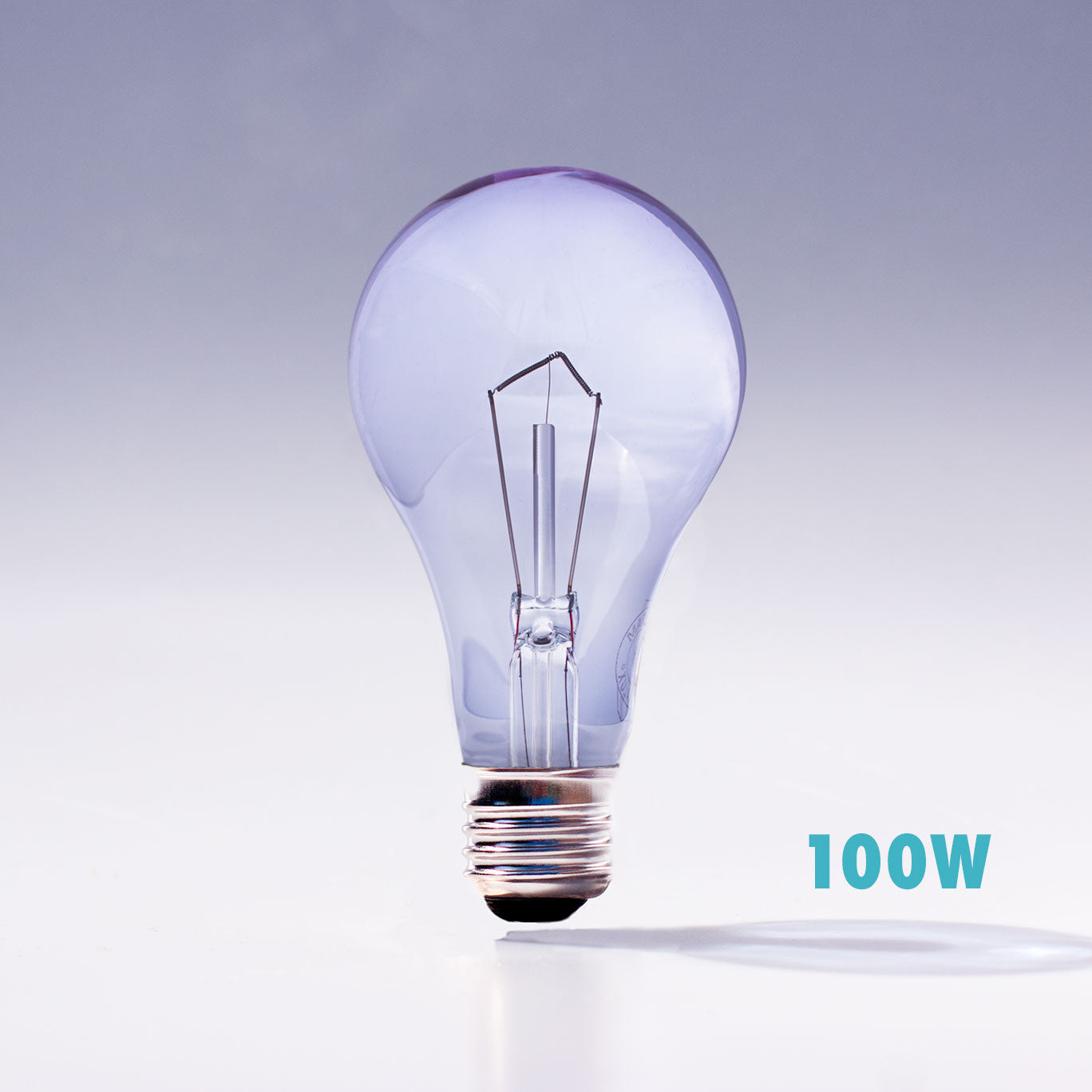 Chromalux A21 100W full spectrum bulb