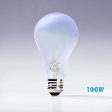 A21 100W incandescent light bulb