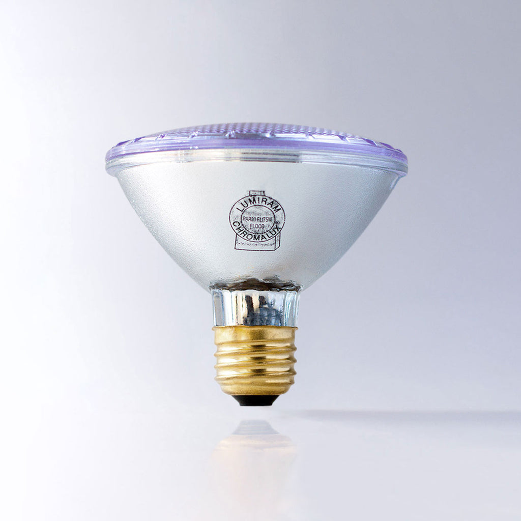 Light Bulb Shapes - Light Bulb Shape Guide - Elesi Blog