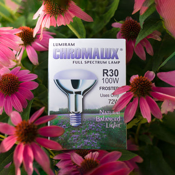 Chromalux® R30 full spectrum flood bulb