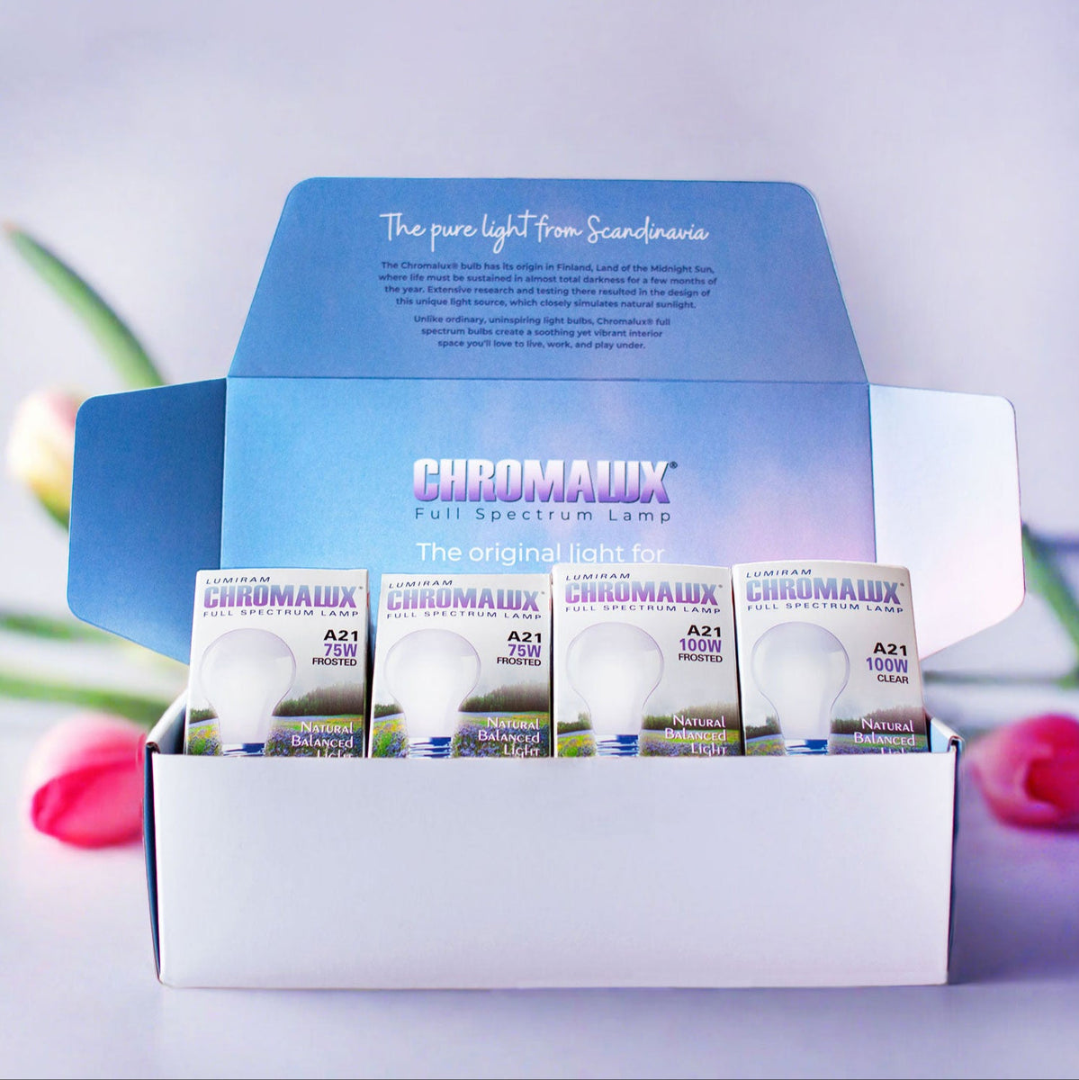 Best Full Spectrum Bulb Gift Bundle by Chromalux® – Healthlighting
