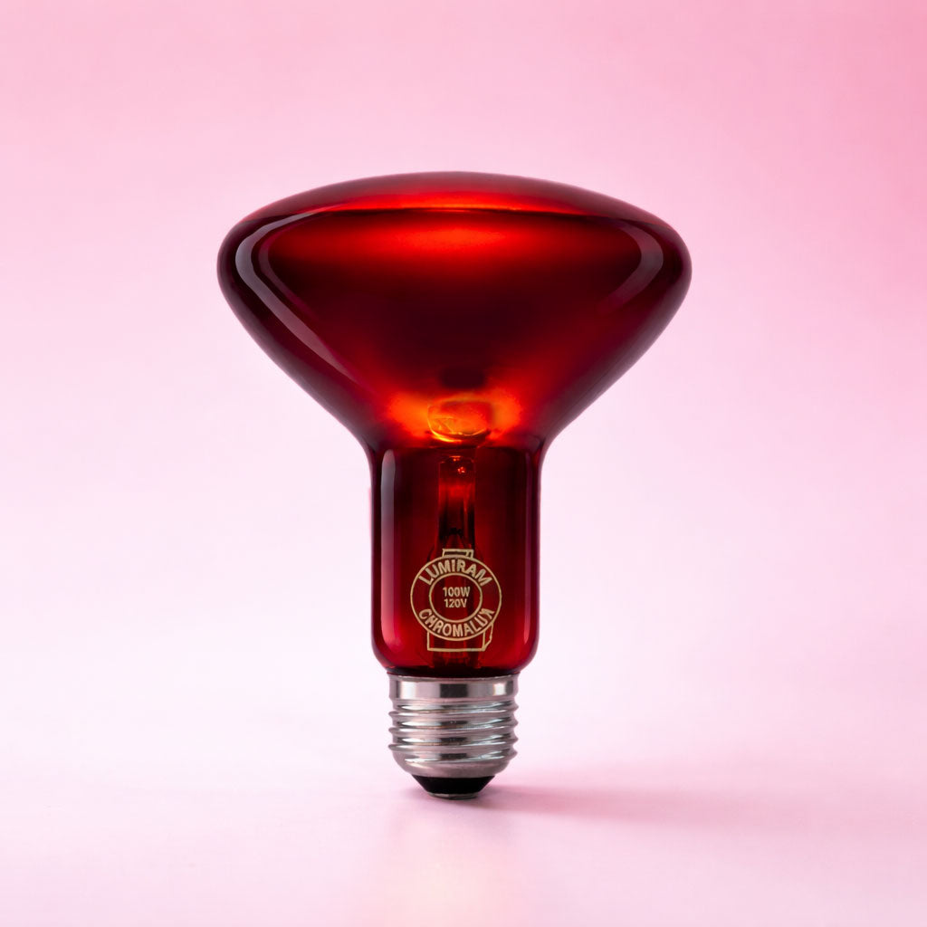 Chromalux® Full Spectrum Incandescent Infrared Red Light Therapy Bulb ...