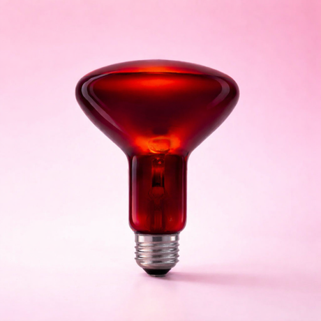 Full Spectrum Incandescent Infrared Red Light Therapy Bulb