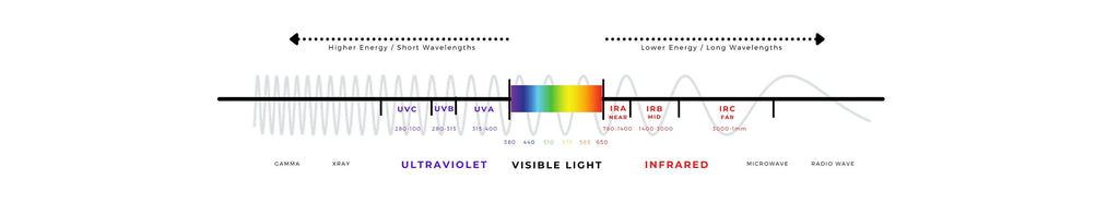 Full Spectrum Loop Full Spectrum Light Bulbs – Healthlighting