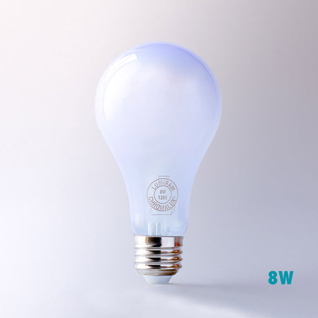 Full Spectrum Healthy A21 LED bulb
