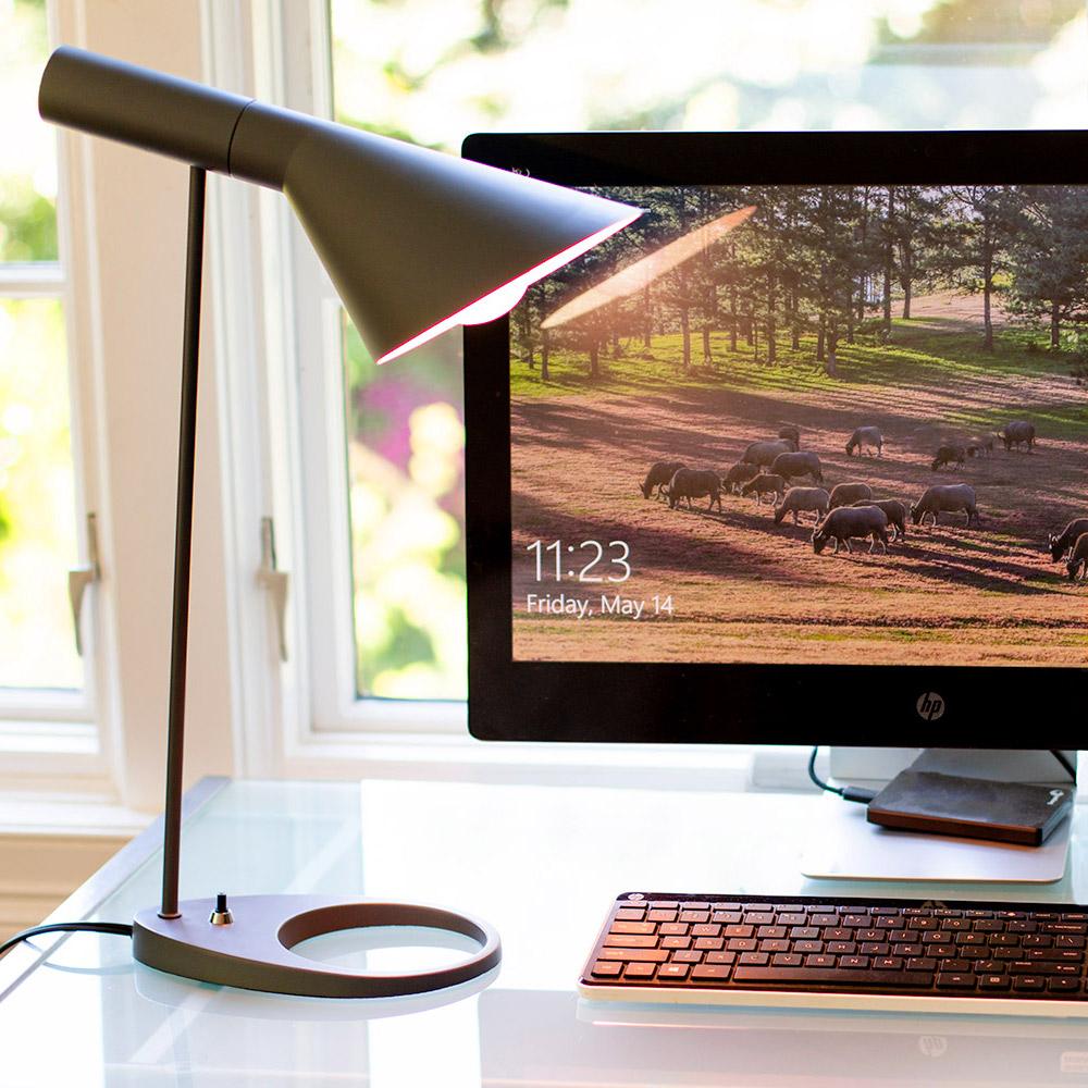 Frosted 3-Way Incandescent Light Bulb by Chromalux® full spectrum