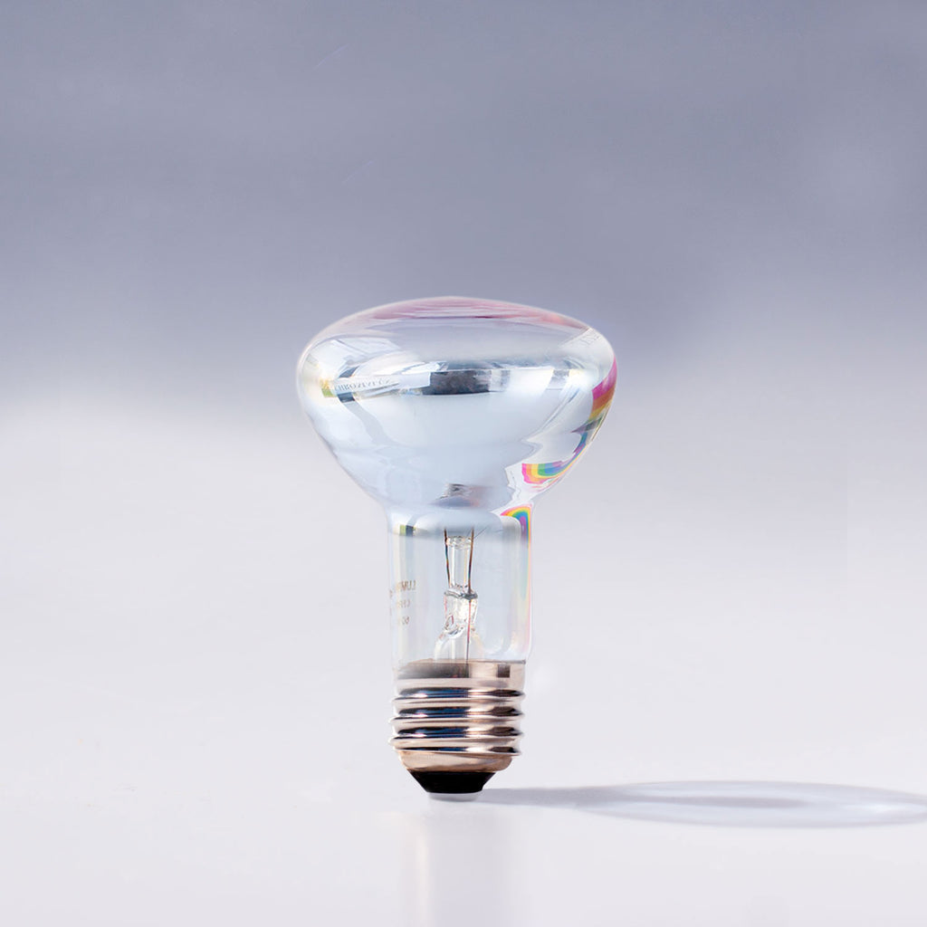 Chromalux R20 60W incandescent clear flood light bulb