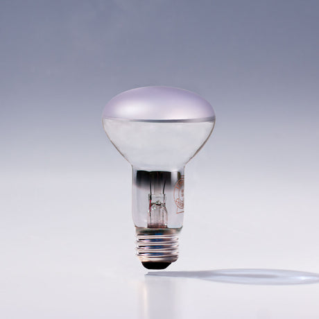 Chromalux R20 60W incandescent flood light bulb