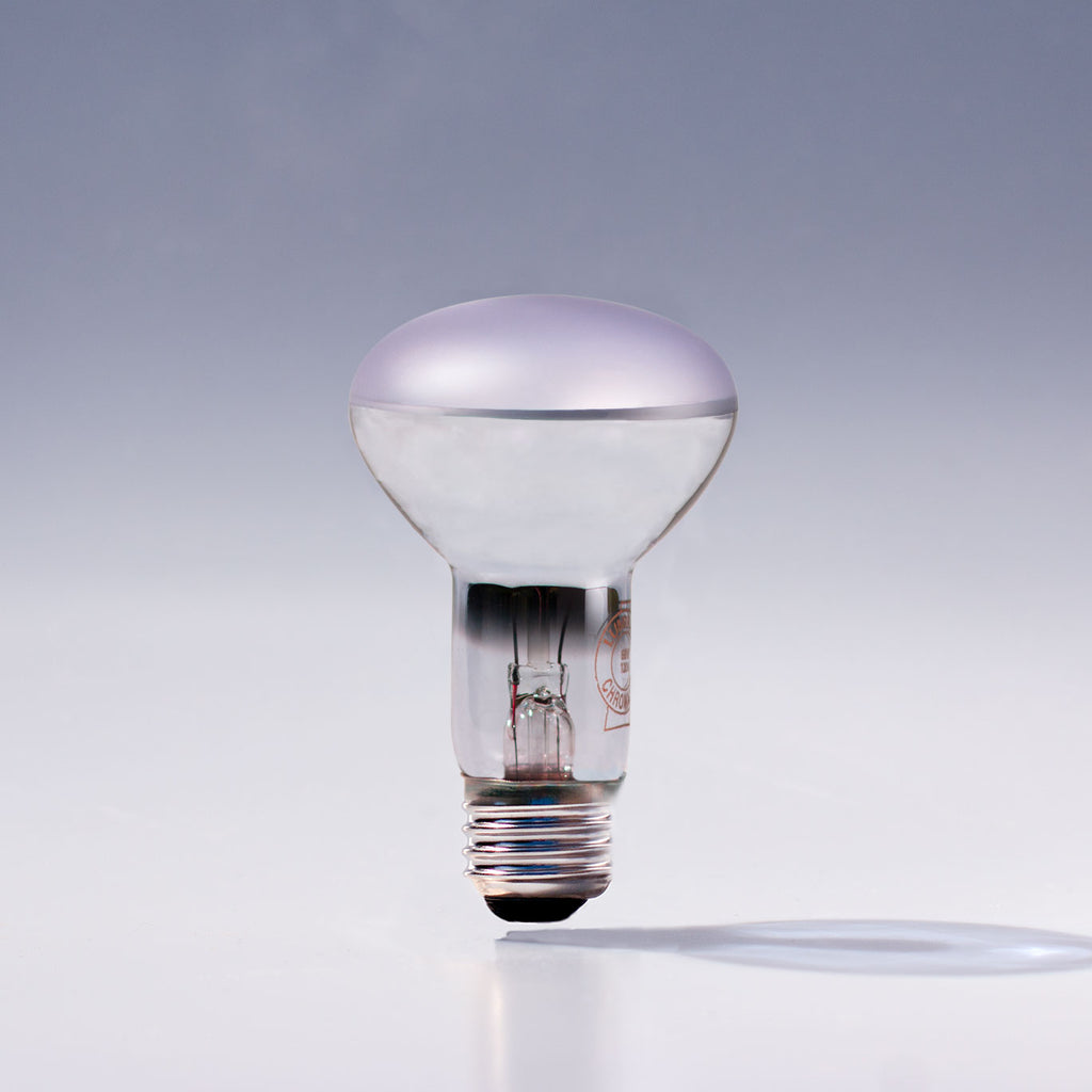 Chromalux R20 60W incandescent flood light bulb