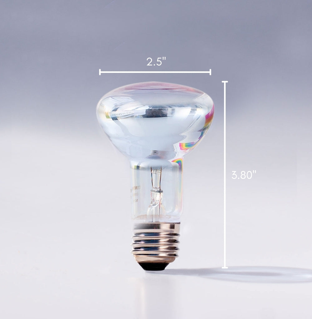 R20 60W Incandescent Flood Light Bulb by Chromalux® Full Spectrum ...