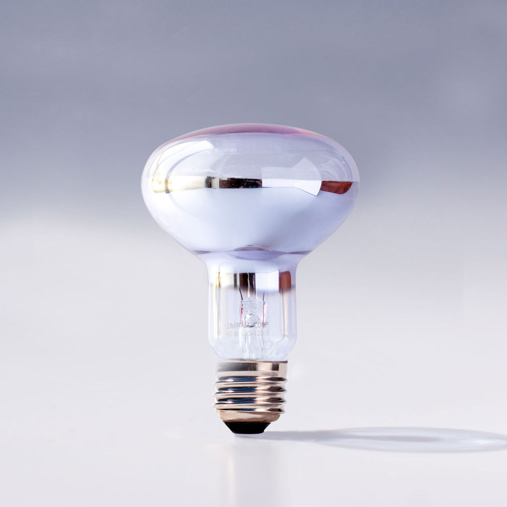 Chromalux R25 60W clear incandescent flood light bulb