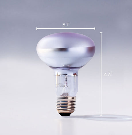 Chromalux R25 60W incandescent flood light bulb