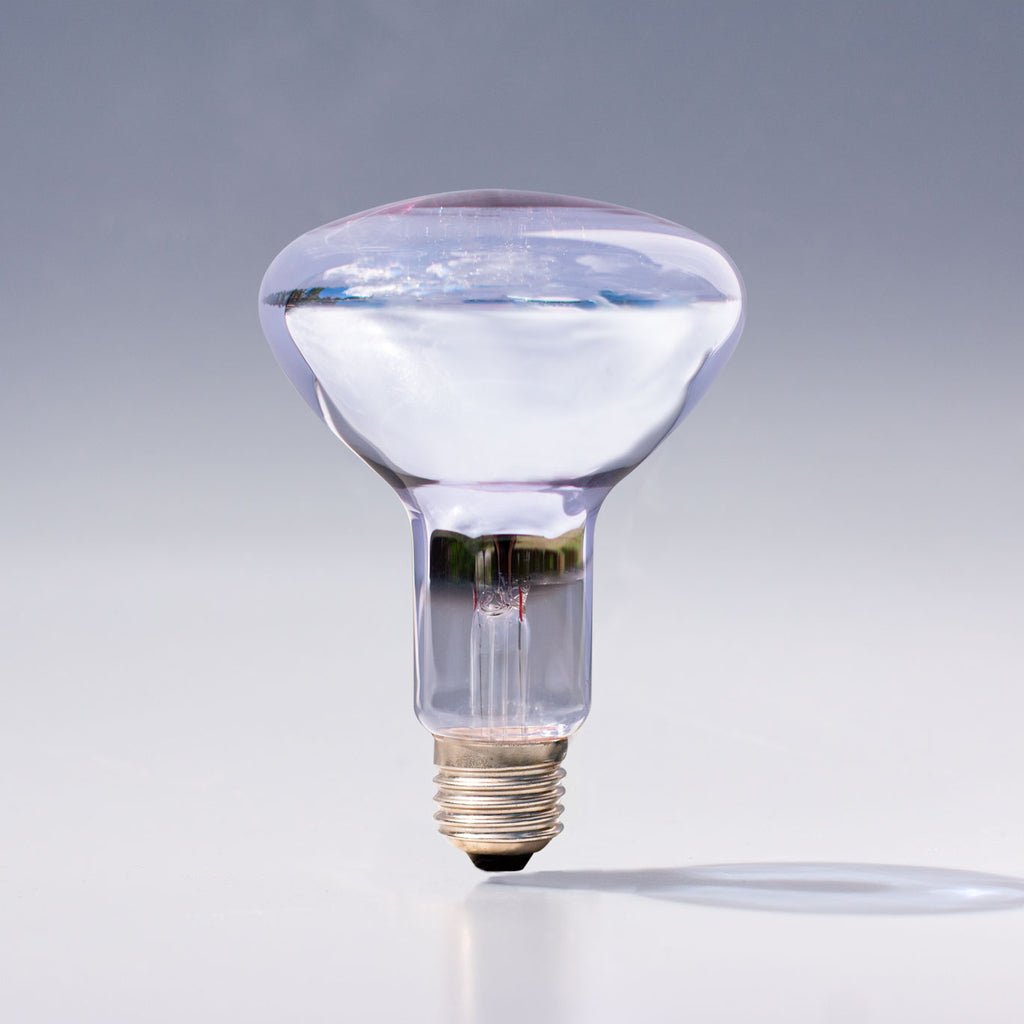 Chromalux R30 100W clear full spectrum flood light bulb