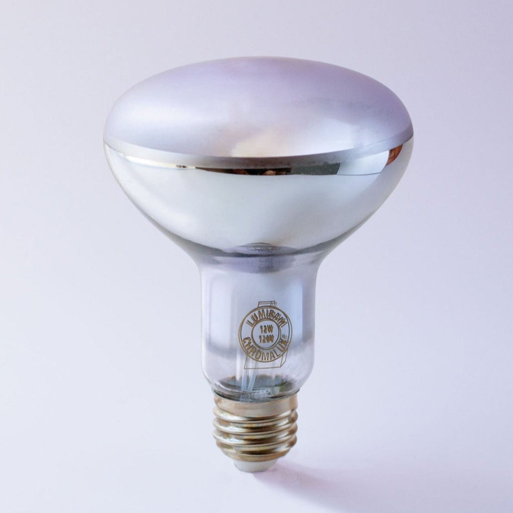 R40 full spectrum LED flood bulb