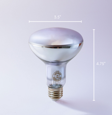 R30 full spectrum LED flood light bulb