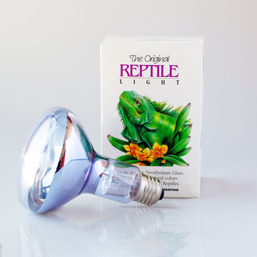 Reptile Basking Daylight R30 Bulb