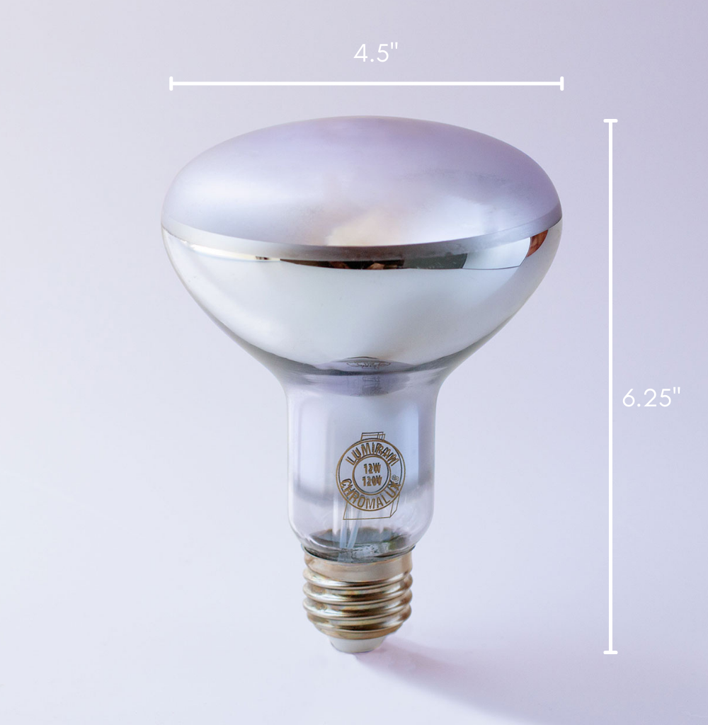 Chromalux R40 LED full spectrum flood light bulb