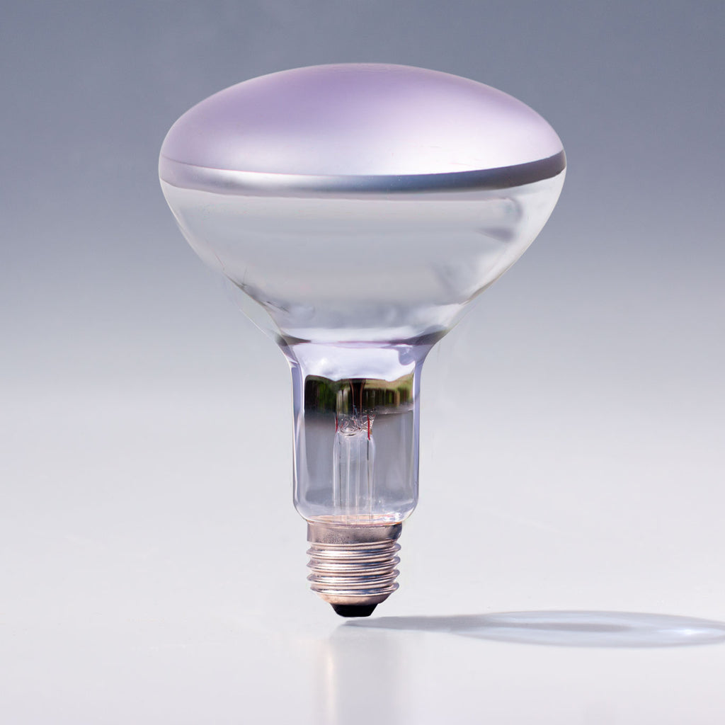 R40 full spectrum flood light bulb