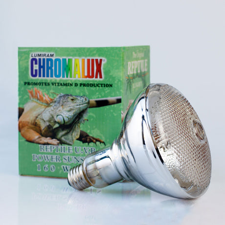 High Power Reptile UV Bulb