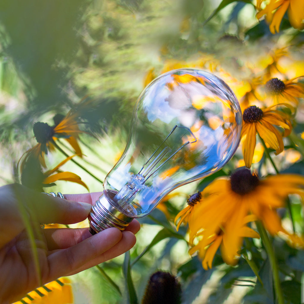 Full Spectrum 100W Incandescent Bulb clear glass