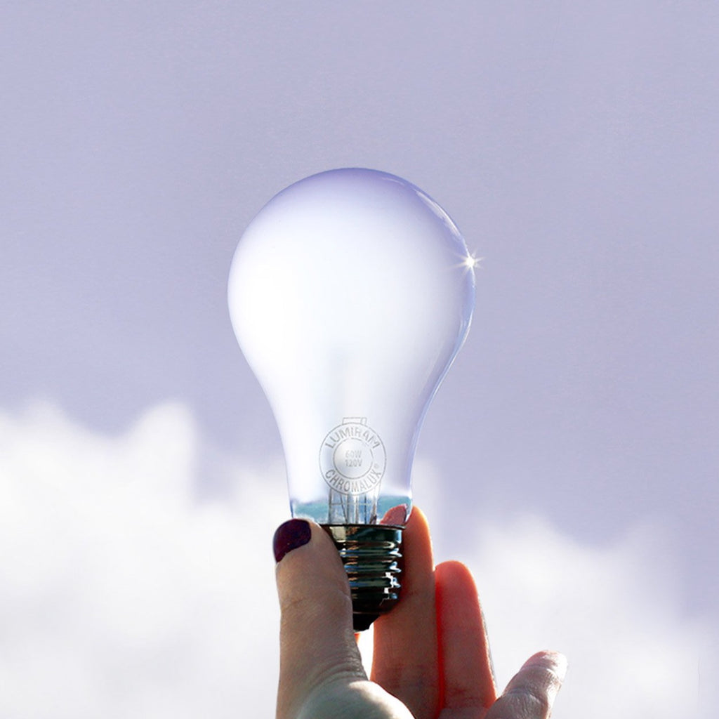 Hand holding Chromalux® Full Spectrum 60W Incandescent Light Bulb