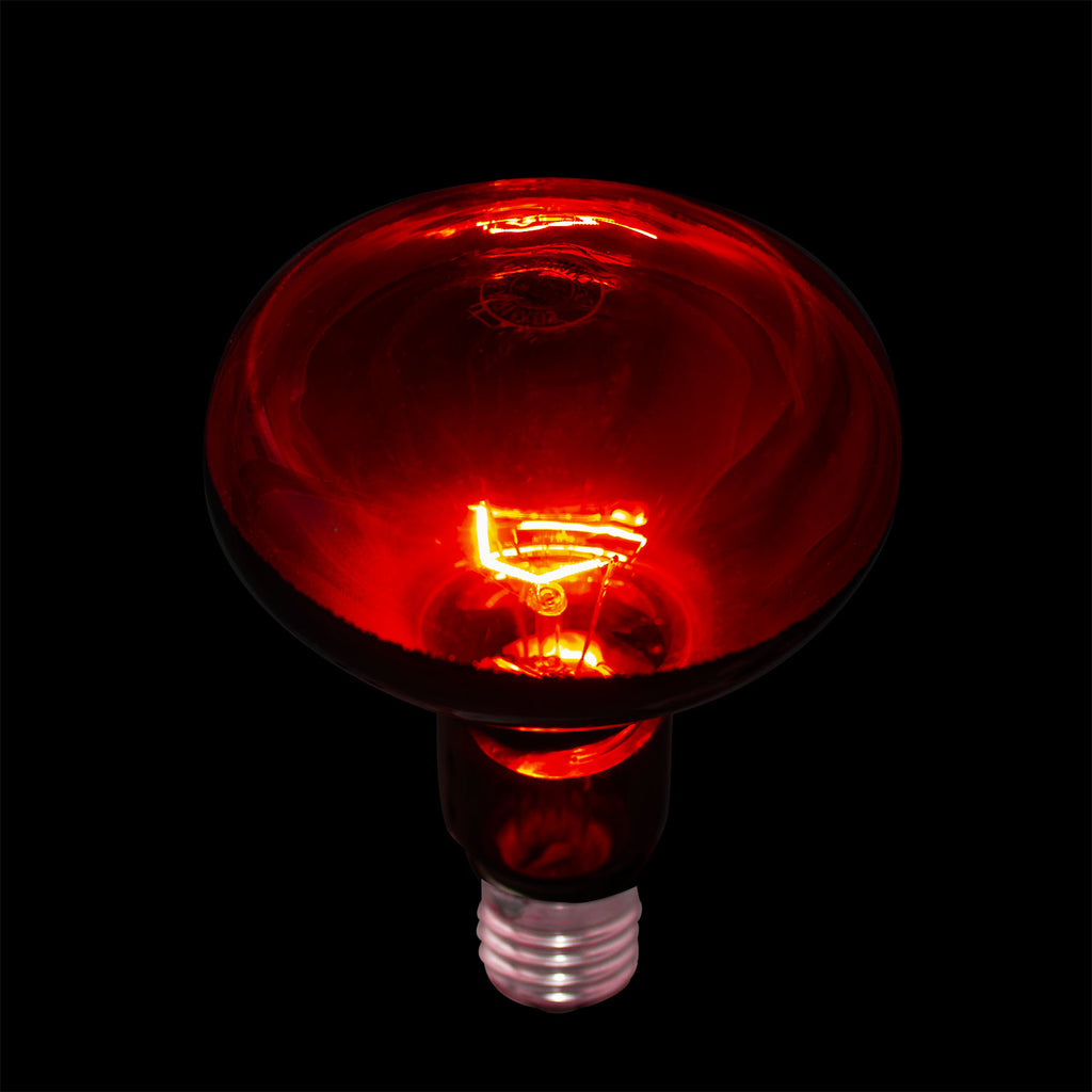 Radiant Energy™ Incandescent Red Light Therapy Lamp – Healthlighting