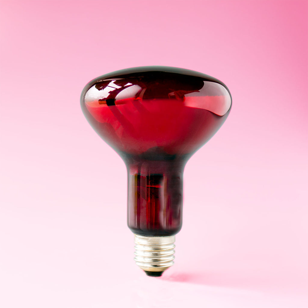  Incandescent Red Light Therapy Bulb